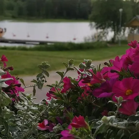 Art Deco And Restaurant Hotel Sulkava (Southern Savonia)